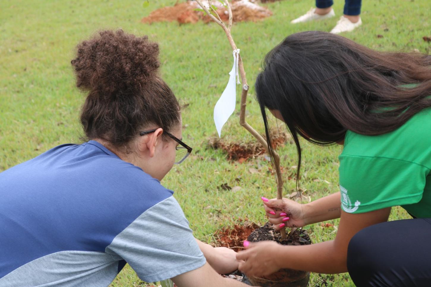 Programa Jovens Mineiros Sustentáveis conclui plantio de 120 bosques e 13 mil mudas em Minas Gerais