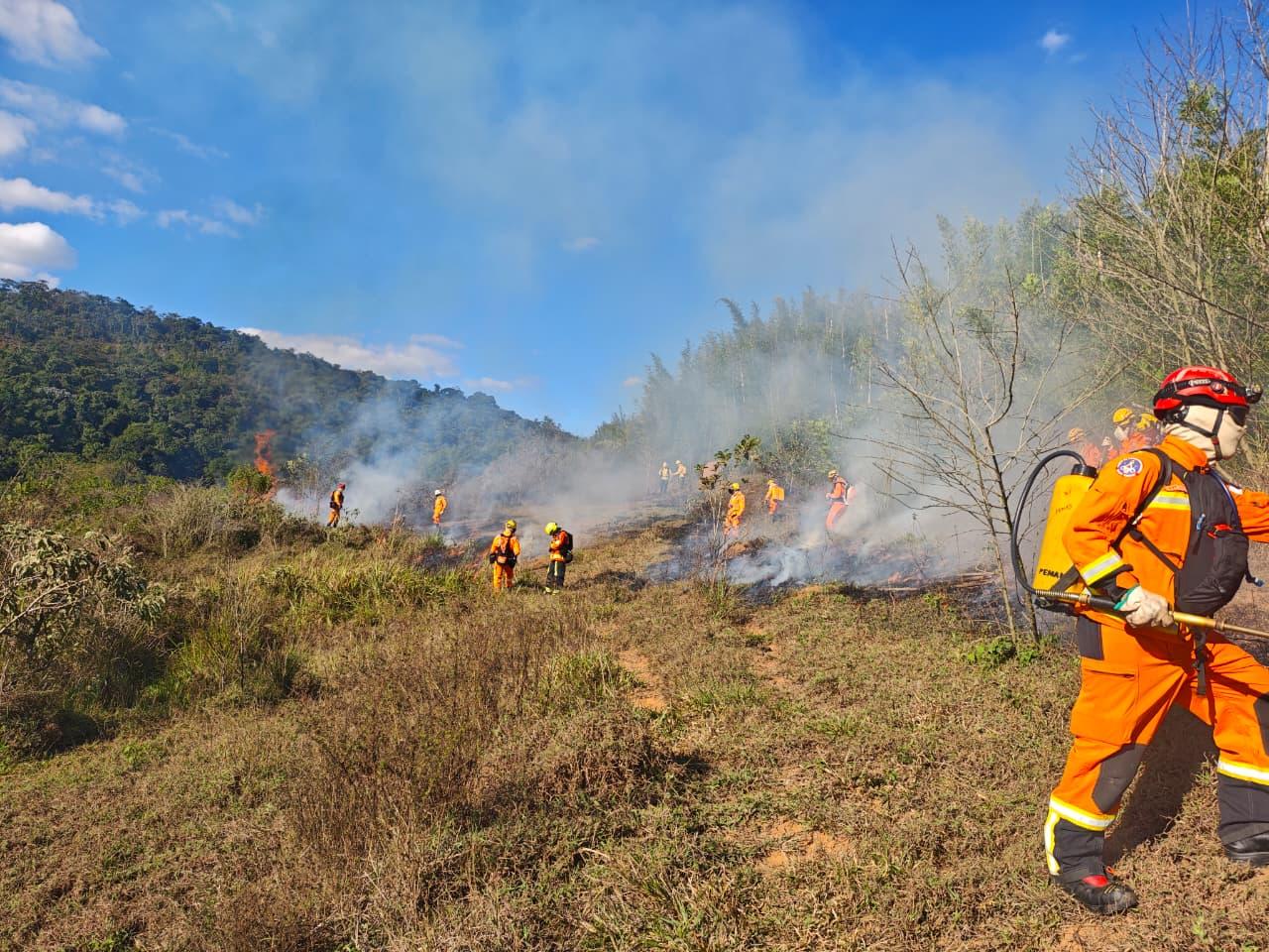 Corpo de Bombeiros e IEF realizam queima prescrita no Parque Estadual Mata do Krambeck, em Juiz de Fora