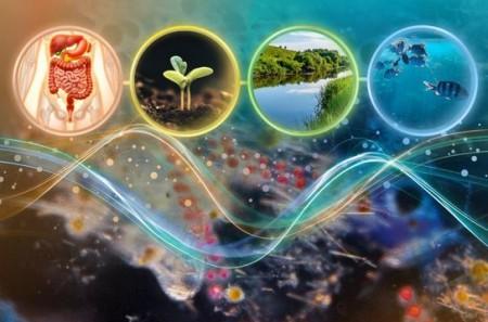 Estudo genômico de microbiomas comprova teoria ecológica clássica sobre competição por recursos