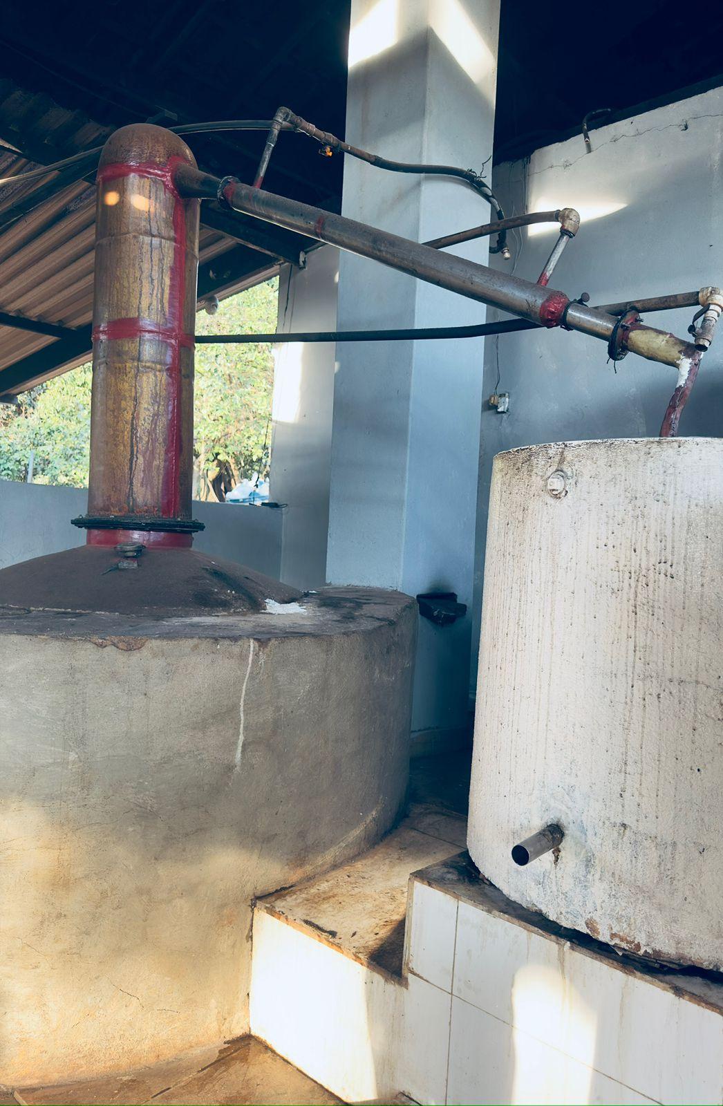 Família mantém tradição de 43 anos na produção de cachaça artesanal em Igarapé