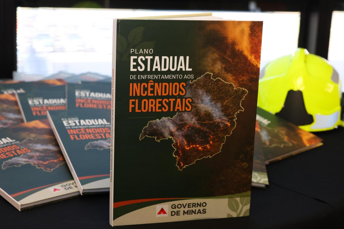 Governo de Minas Gerais investe R$ 590 milhões em ações contra incêndios e monitoramento climático