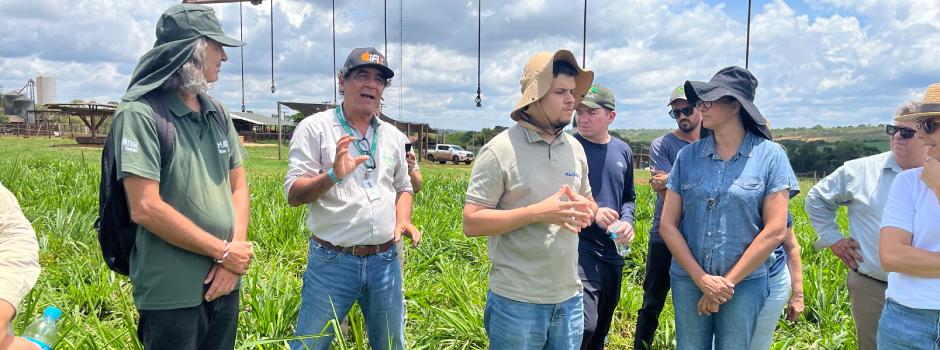 Inscrições abertas para curso gratuito de agricultura regenerativa focado no cultivo de grãos em Minas Gerais