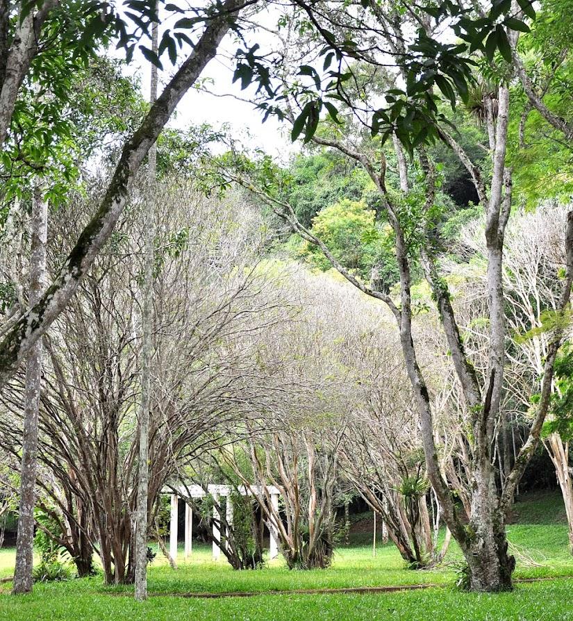 Jardim Botânico da UFJF abre agendamento de visitas mediadas para agosto e setembro