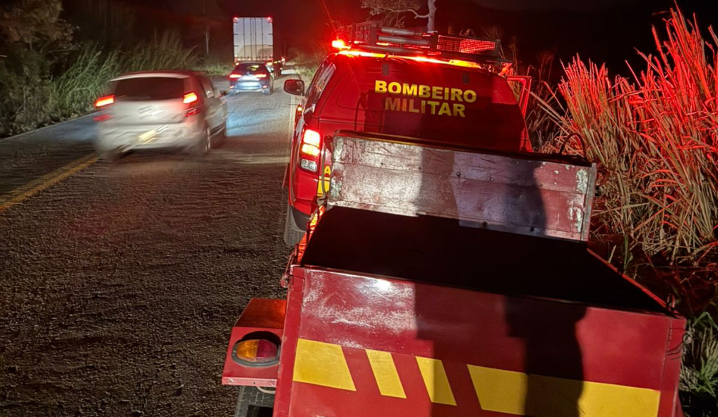 Onça-pintada ferida após atropelamento foge para mata às margens da MG-353