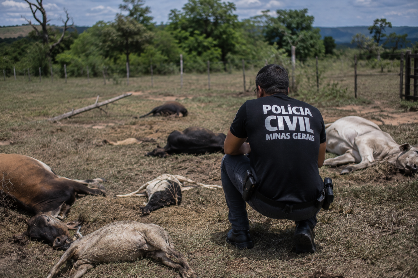 Polícia Civil instaura inquérito para investigar envenenamento de 21 cães em Congonhas