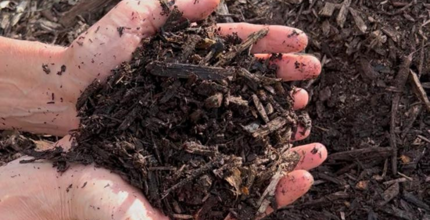 Projeto Terra Boa Tem Inscrições Abertas para Distribuição Gratuita de Composto Orgânico