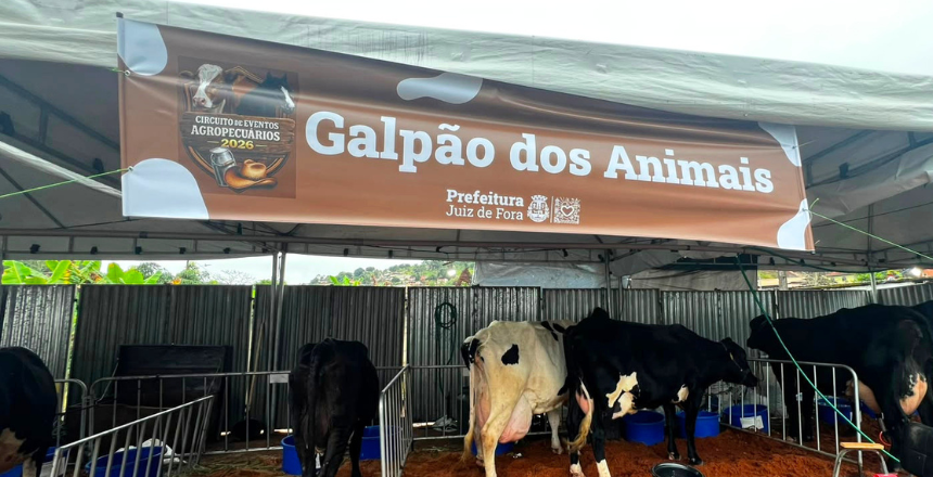 Circuito de Torneios Leiteiros tem rodada dupla neste fim de semana em Juiz de Fora