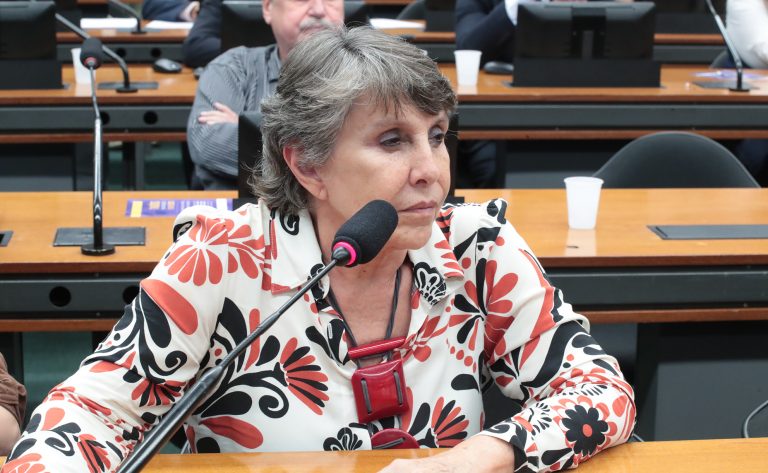Comissão da Câmara discute a relevância de dados oficiais para a população LGBTQIA+