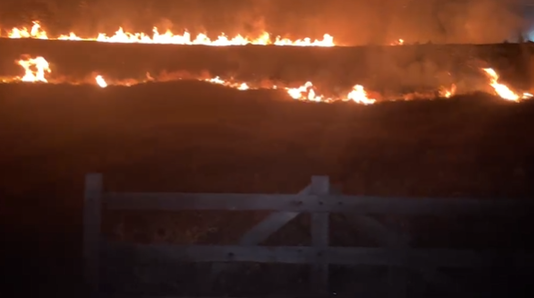 Curto-circuito em rede elétrica provoca incêndio em vegetação em Guarará