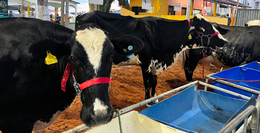 Distrito de Valadares recebe a 20ª edição do Torneio Leiteiro de Juiz de Fora
