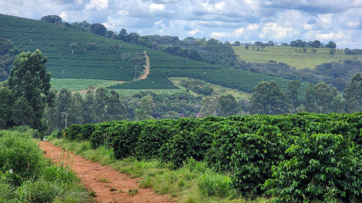 Diversificação de mercados mantém Minas Gerais no pódio das exportações do agro nacional