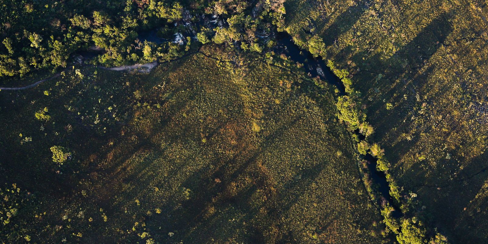 Produtores rurais terão acesso a juros baixos em financiamentos para projetos de sustentabilidade