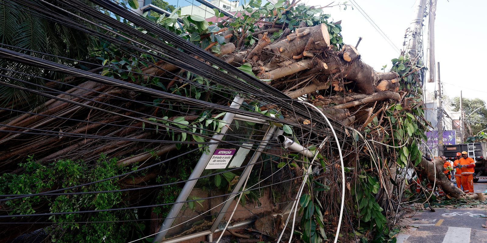 Falta de energia atinge mais de 200 mil clientes no Rio após vendaval