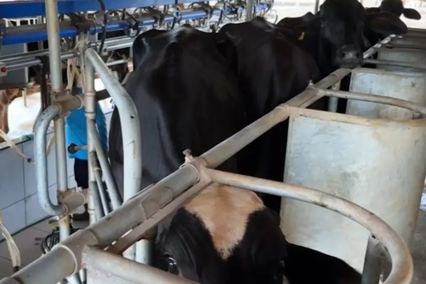 Notícias de Minas Gerais: veja destaques do agronegócio, pedágios e saúde