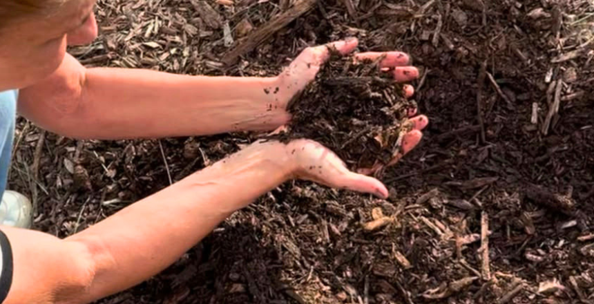 Prefeitura de Juiz de Fora celebra sucesso do Programa Terra Boa com 12 toneladas de composto orgânico entregues