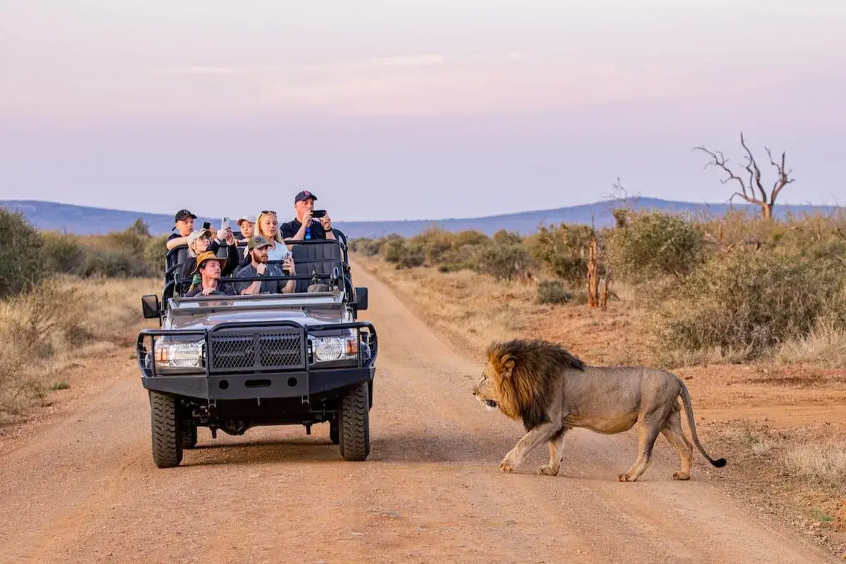 Premiação inédita oferece viagem com tudo pago e safári na África do Sul a treinadores de fisiculturismo SC