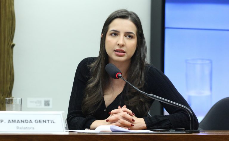Câmara analisa projeto que cria sistema para monitorar medidas protetivas e suspender porte de arma de agressor