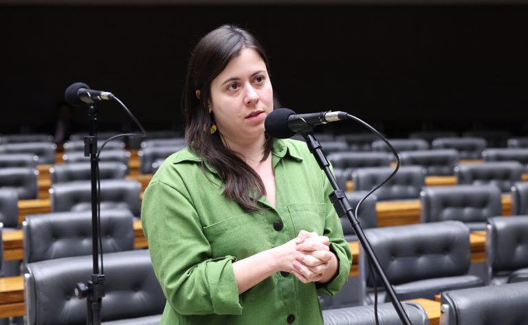 Câmara dos Deputados analisa projeto que restringe acesso a armas de fogo para quem possui medidas protetivas de urgência