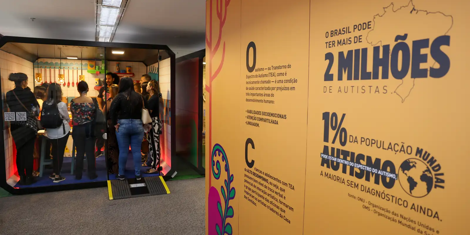Rio de Janeiro cria o serviço Disque Autismo para receber denúncias