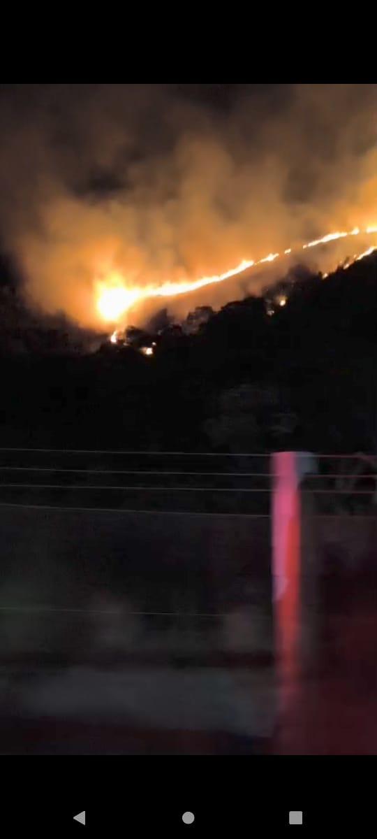 Incêndio atinge área do Exército em Juiz de Fora e mobiliza Corpo de Bombeiros