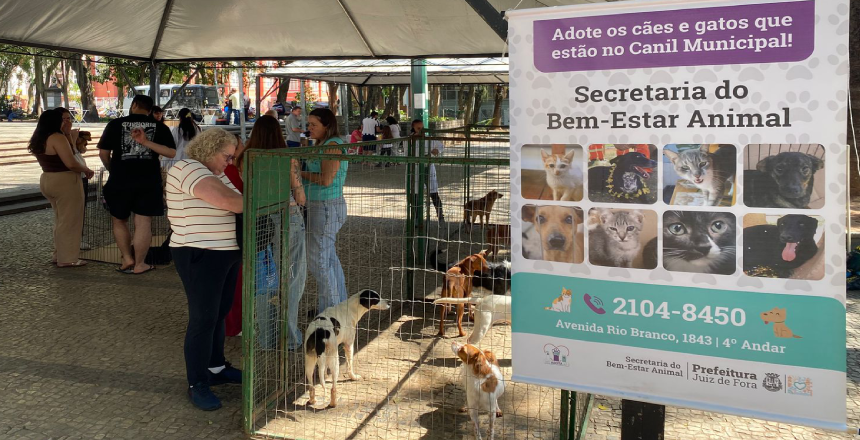 Juiz de Fora promove novo evento de adoção responsável de animais no Parque Halfeld