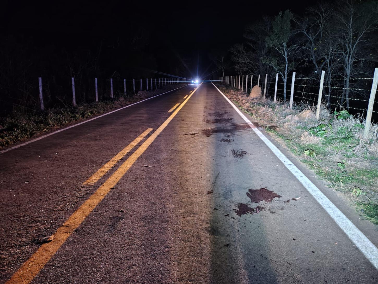 Moto atinge cavalo e deixa três pessoas feridas em rodovia de Descoberto