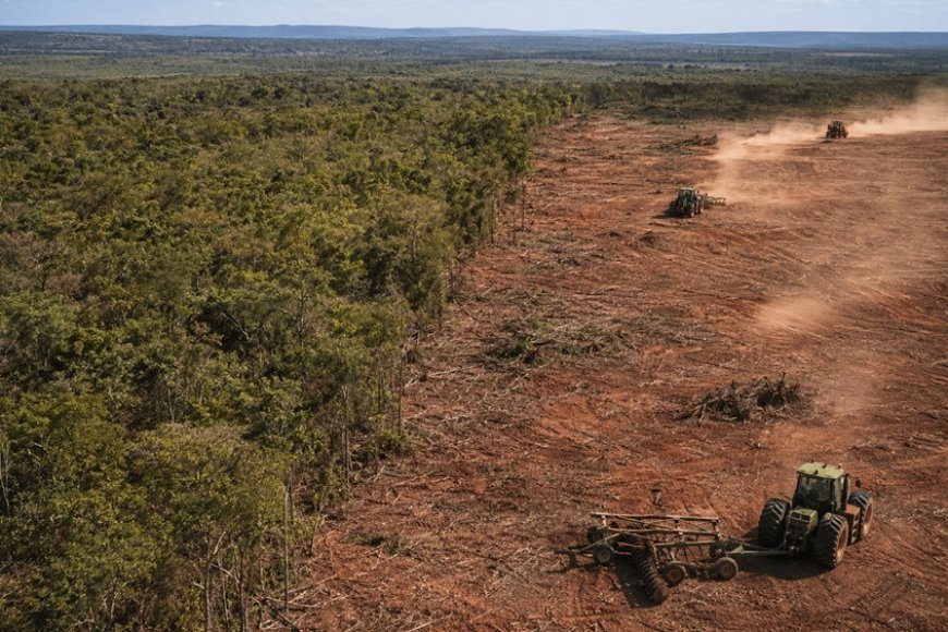 Coluna mg: destaques do jornalismo mineiro reúnem operações e obras