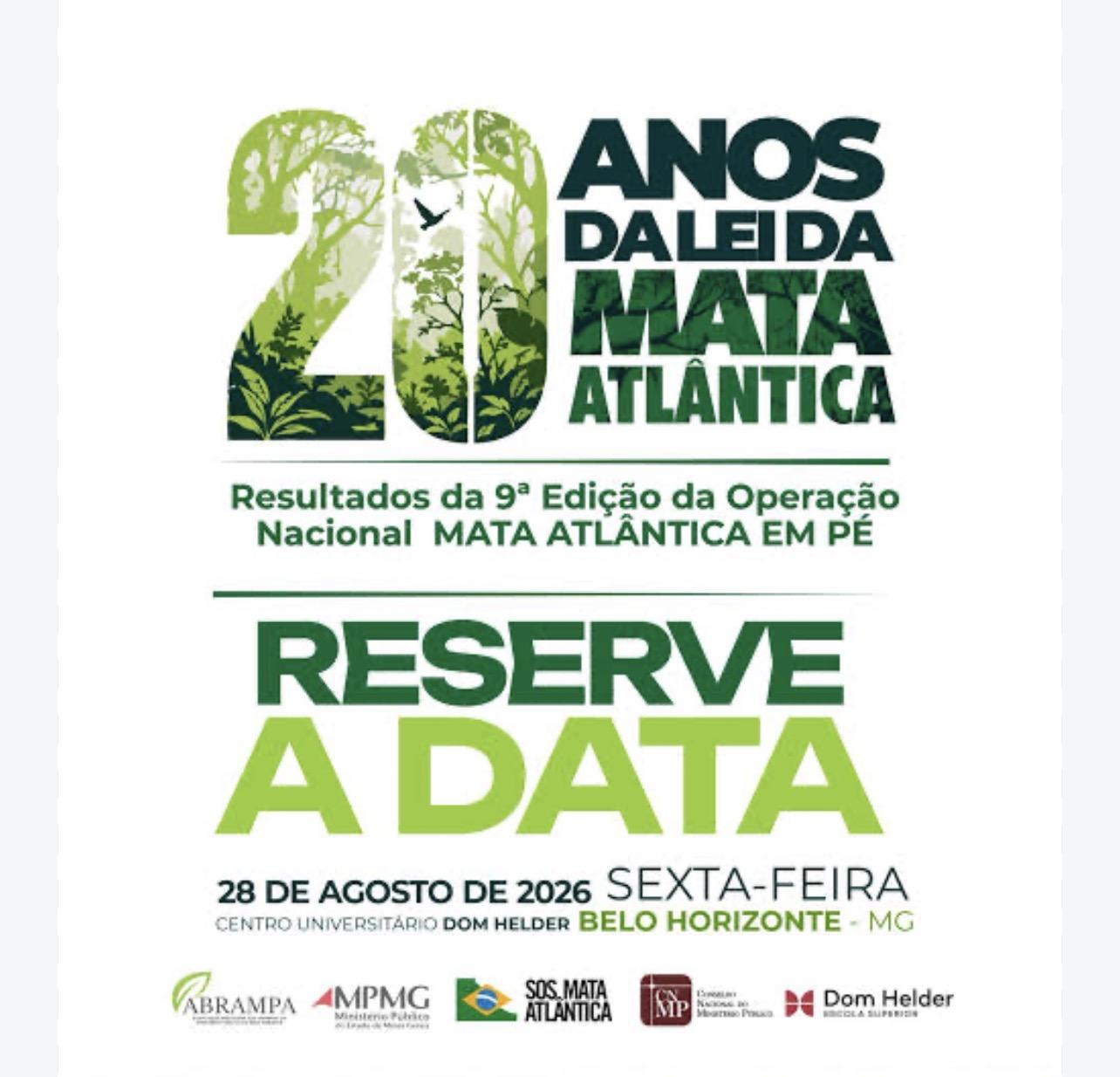 Operação mata atlântica em pé flagra desmatamento ilegal no país