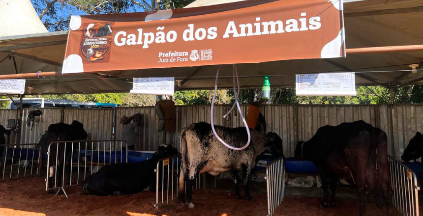 Torneio Leiteiro de Paula Lima retorna ao circuito agropecuário após duas décadas em Juiz de Fora