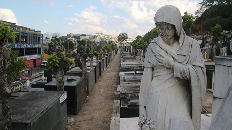 Visita mediada gratuita explora a natureza no Parque do Museu Mariano Procópio em Juiz de Fora