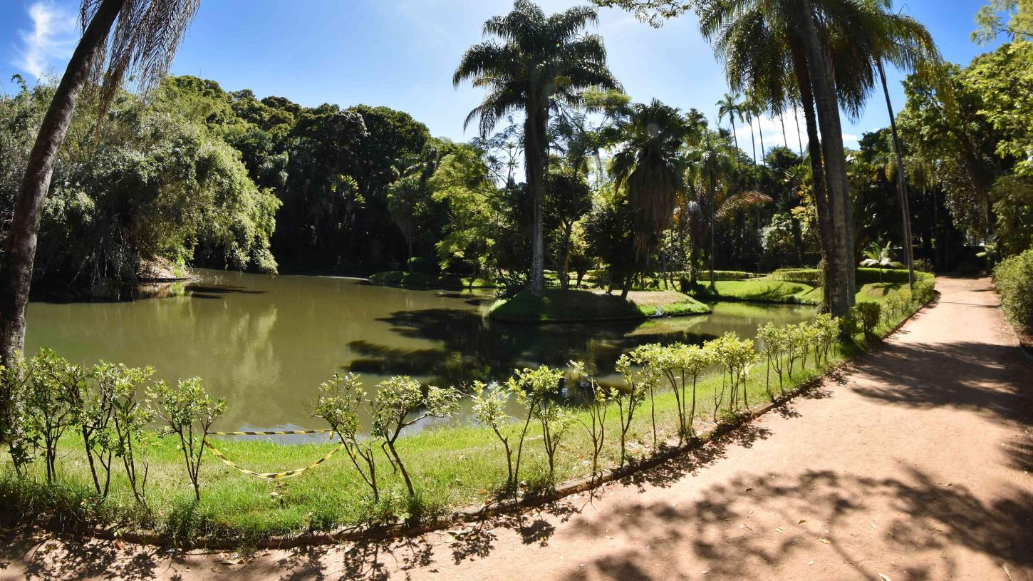 Visita mediada gratuita explora a natureza no Parque do Museu Mariano Procópio em Juiz de Fora