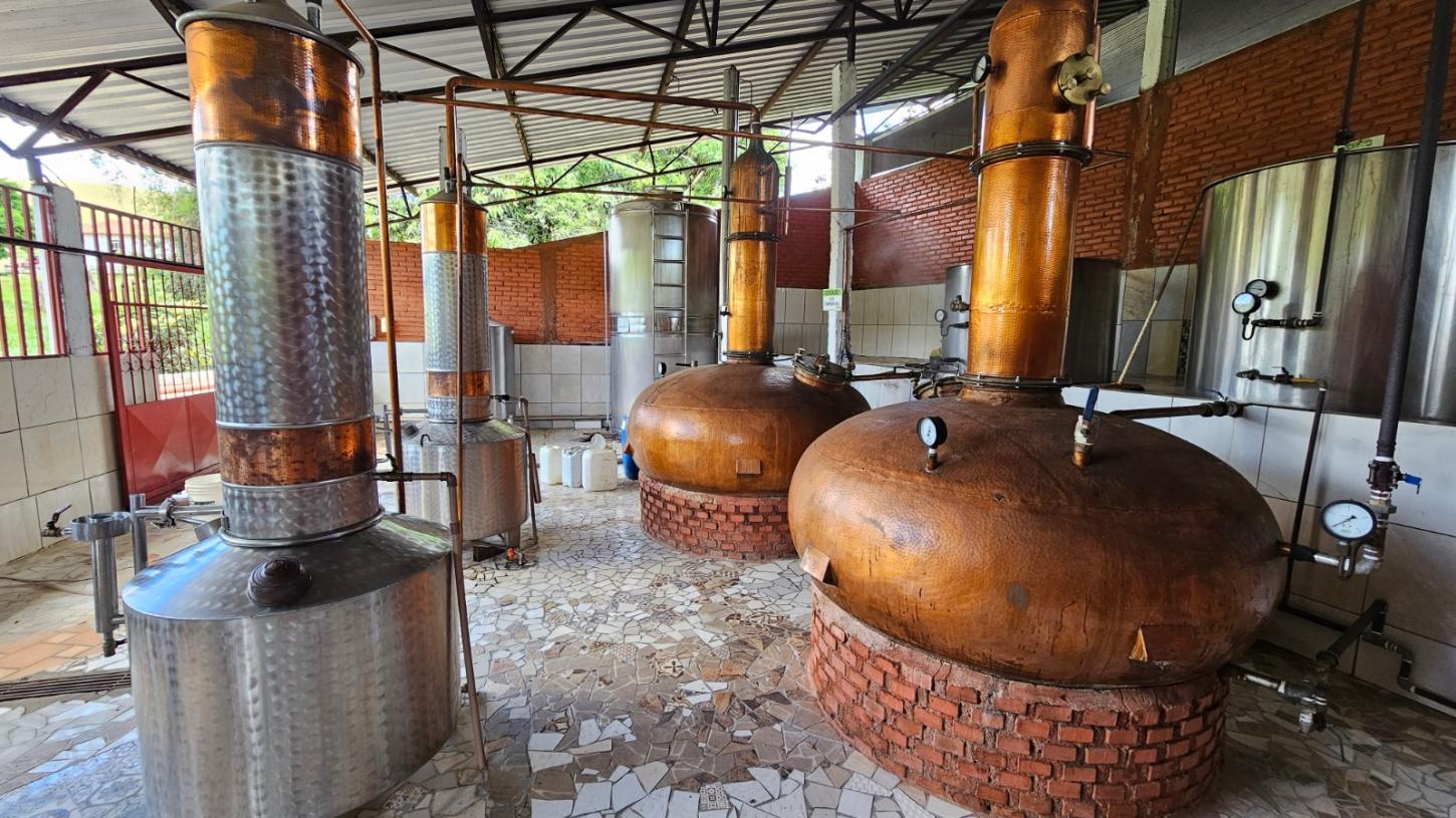 Alto Rio Doce reúne produtores para celebrar o Dia Nacional da Cachaça