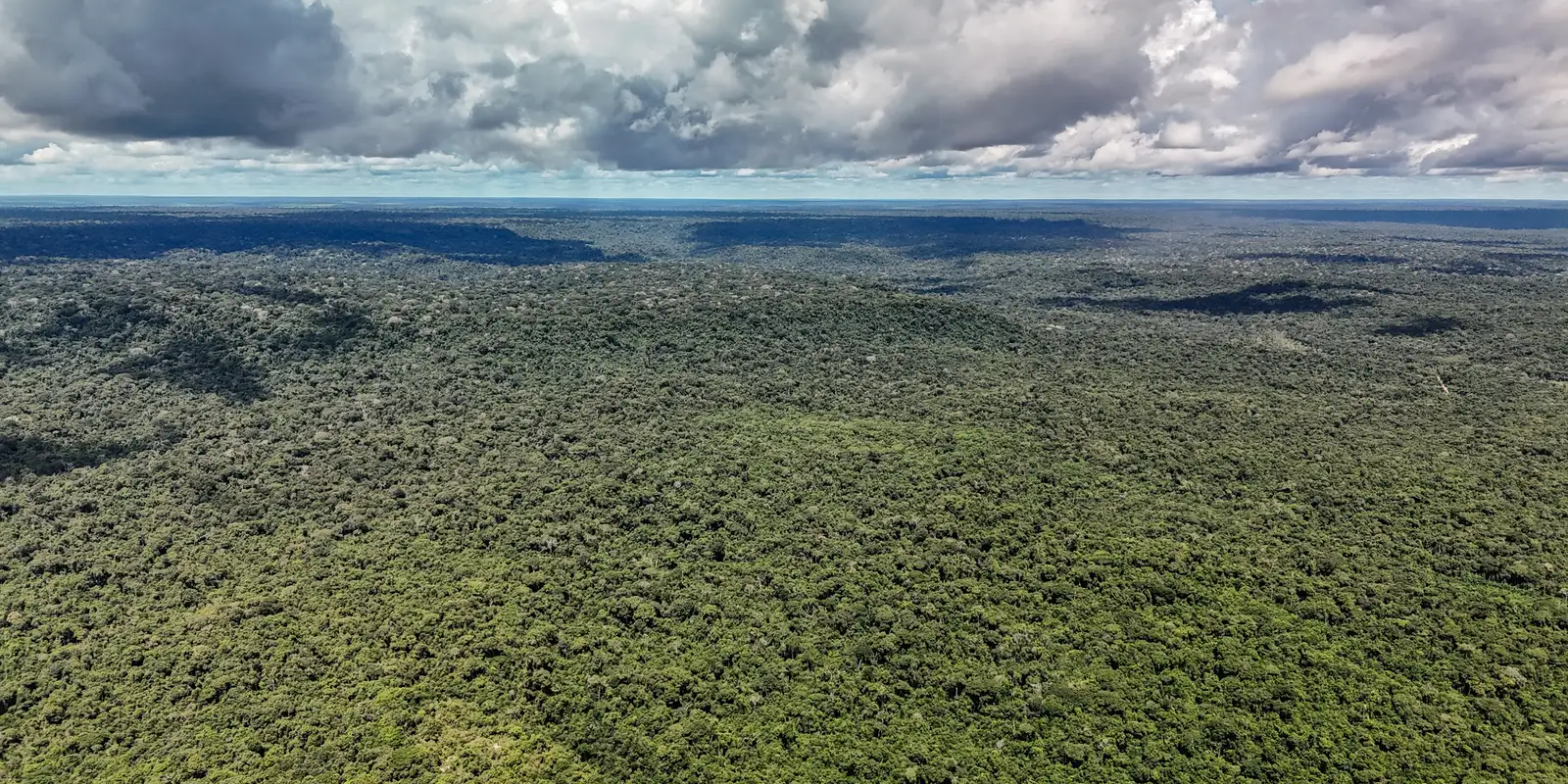 Fazenda autoriza captação de US$ 1 bilhão com o BID para o Eco Invest Brasil