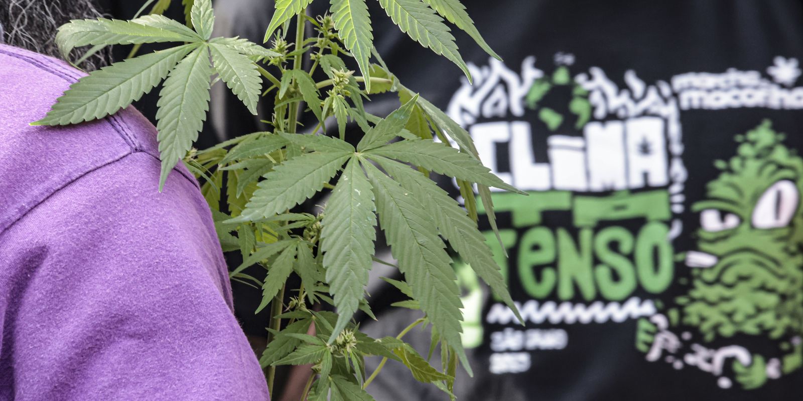 Prisão preventiva por drogas supera a média de outros crimes no país