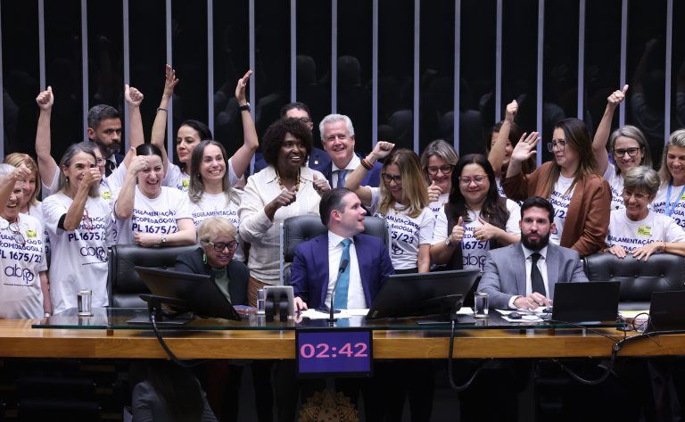 Nova lei regulamenta a psicopedagogia no Brasil com veto a exigências de formação