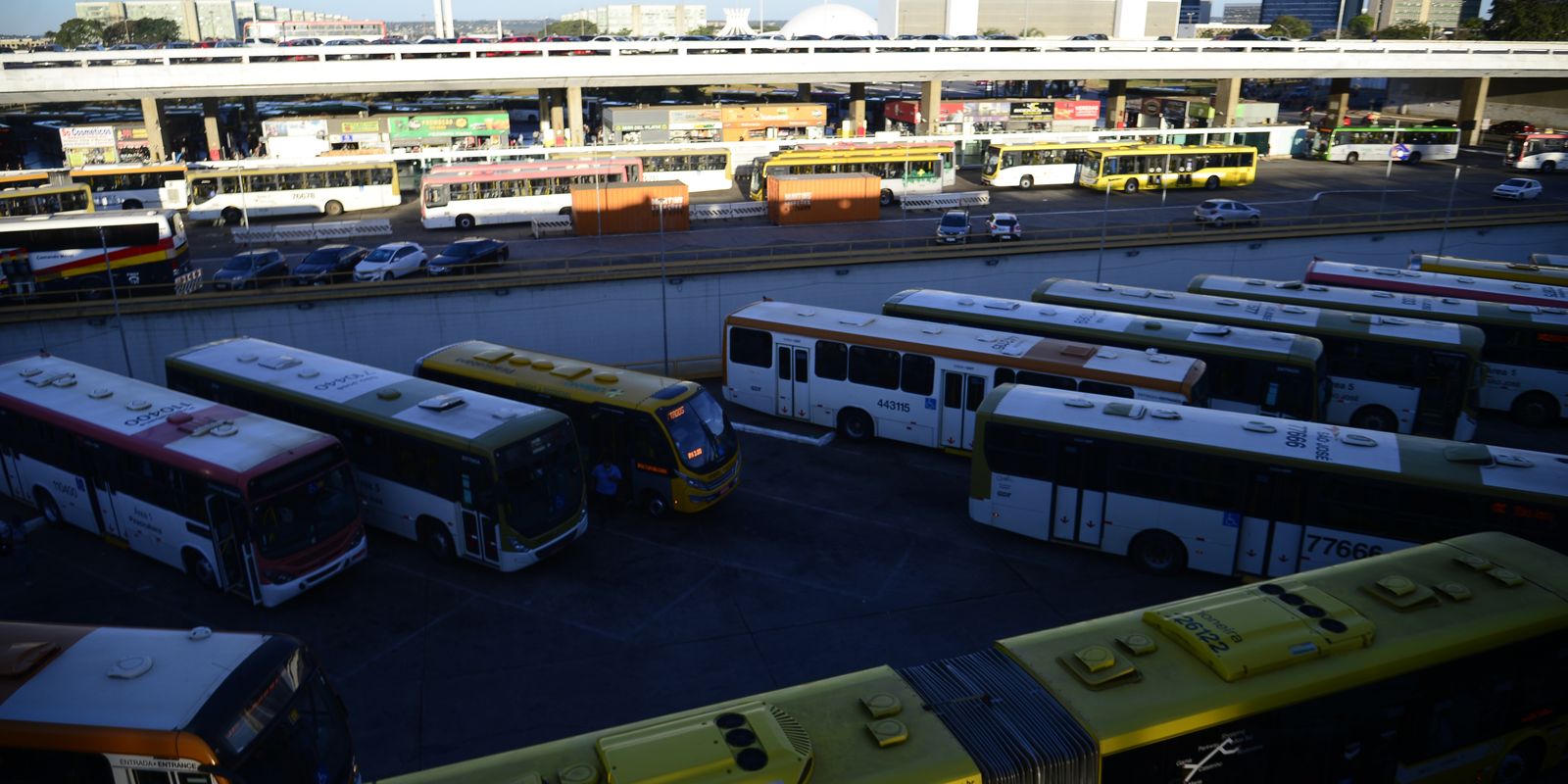 Nunes Marques cobra tribunais para garantir transporte gratuito nas eleições