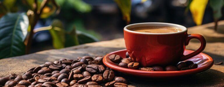 Produção de café em Minas deve crescer 32,5% e abrir espaço para novos consumidores
