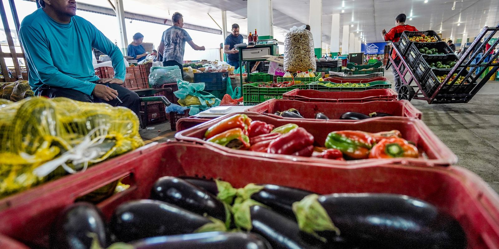 Nova campanha busca engajamento nacional contra o desperdício de alimentos