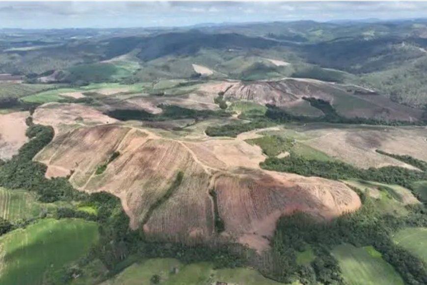 Confira os principais destaques de Minas Gerais no mercado e cultura