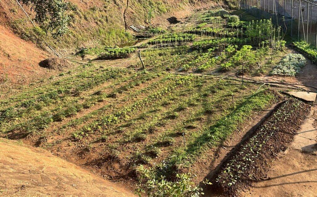 Encontro com produtores debate preservação da água e horticultura em Juiz de Fora