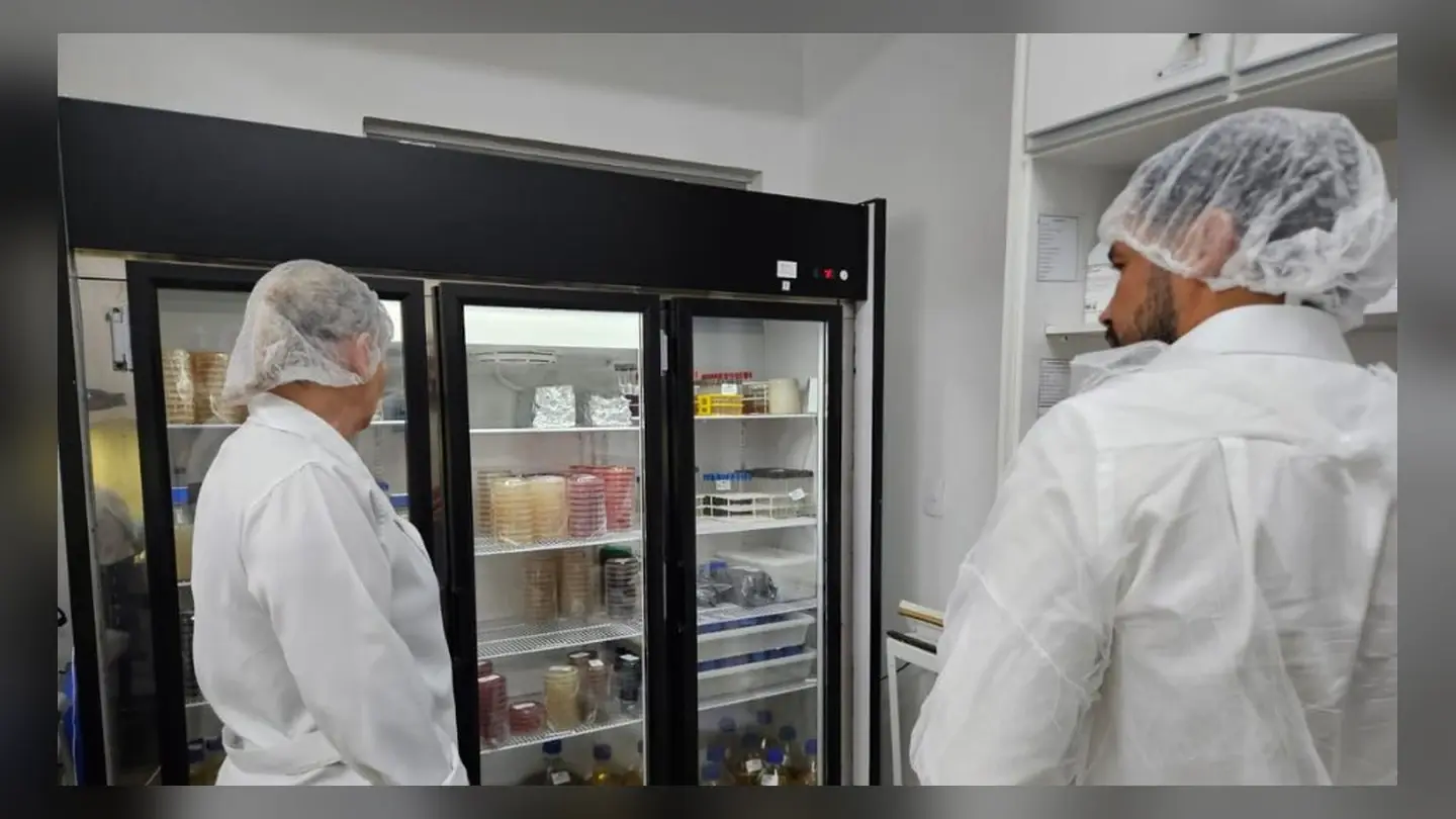Fundo estadual financia projetos para alimentos e bebidas mais seguros em Minas