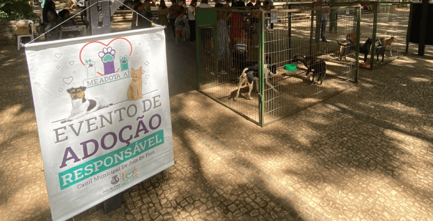 Secretaria de Bem-Estar Animal promove 32º evento de adoção responsável no Bairro Santa Catarina
