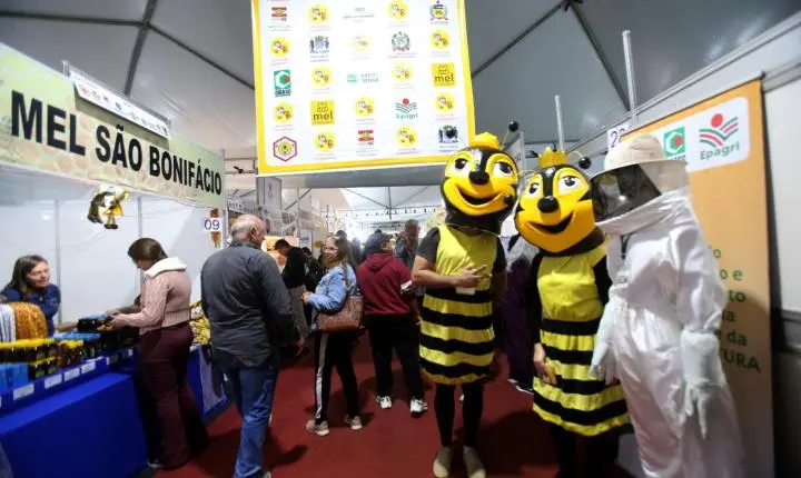 25ª Feira do Mel de Santa Catarina bate recorde de vendas