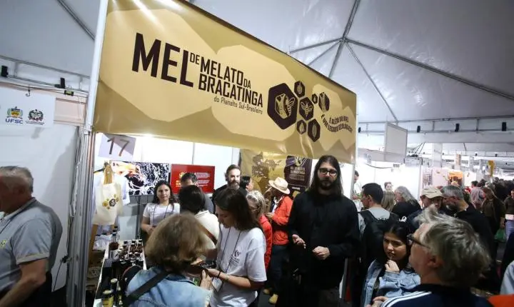 25ª Feira do Mel de Santa Catarina reúne produtores em Florianópolis e projeta comercialização de até 55 toneladas de produtos