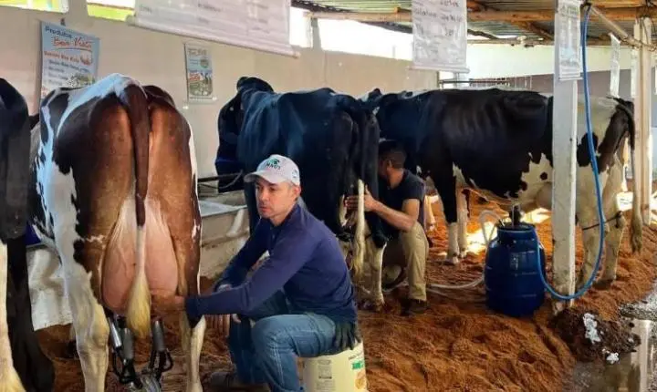 40ª Expo Feira de Gado Leiteiro de Torreões celebra quatro décadas de tradição e festa