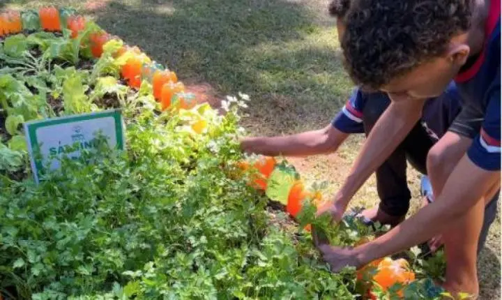 Agro na Escola impulsiona conhecimento sobre o agronegócio em Belo Oriente