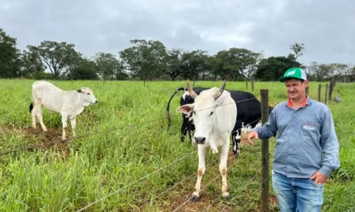 Projeto Agro + Verde impulsiona recuperação ambiental e pecuária sustentável no oeste de Minas Gerais