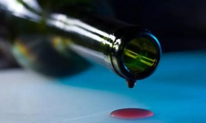 Álcool na adolescência afeta maturação do cérebro e deixa marcas até a vida adulta