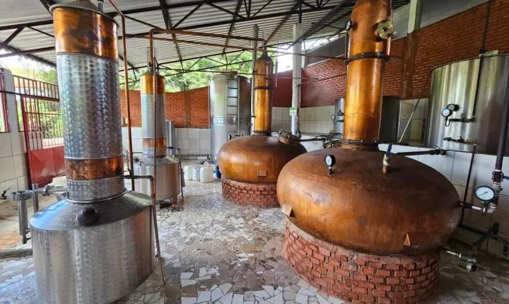 Alto Rio Doce reúne produtores para celebrar o Dia Nacional da Cachaça