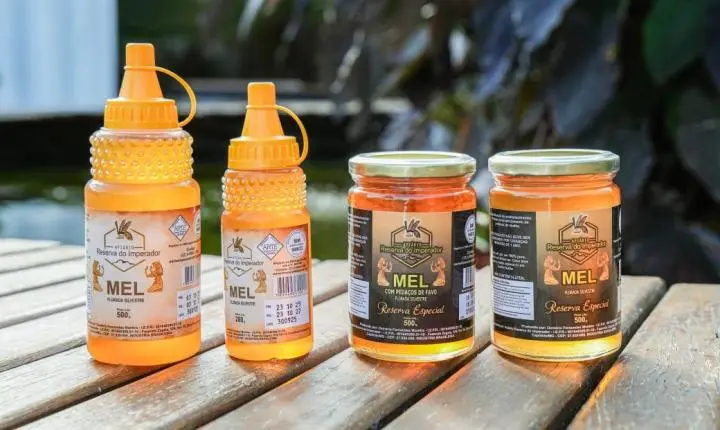 Apicultura na Serra da Canastra: produtor de Guapé alcança produção anual de 1,5 tonelada de mel